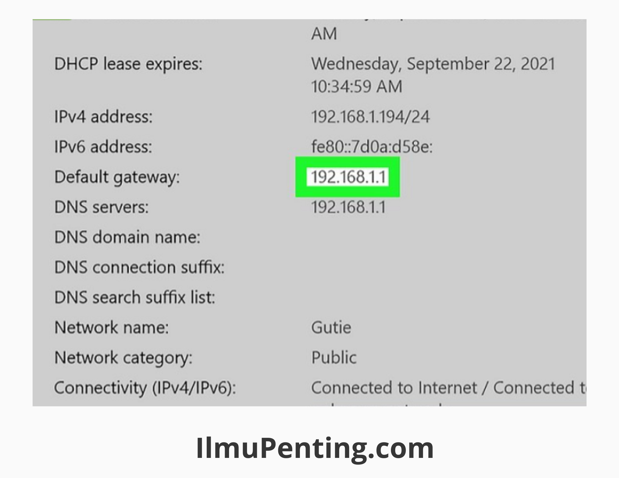 Copy alamat IP