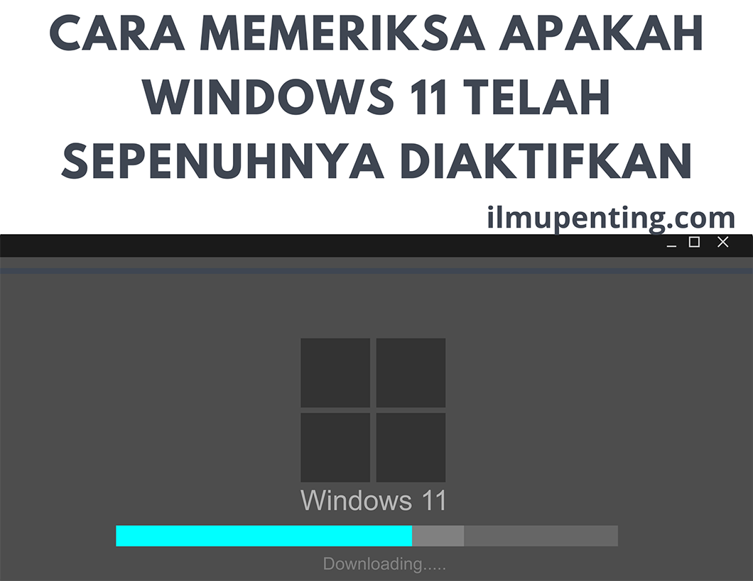 Cara Memeriksa Apakah Windows 11 Telah Sepenuhnya Diaktifkan