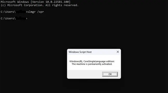 Tampilan Status Windows 11 di Command Prompt