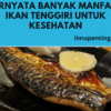 Ternyata Banyak Manfaat Ikan Tenggiri Untuk Kesehatan